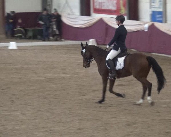 Reitturnier Eppelheim 2019