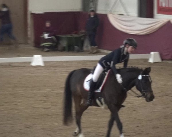 Reitturnier Eppelheim 2019