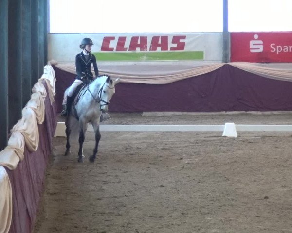 Reitturnier Eppelheim 2019