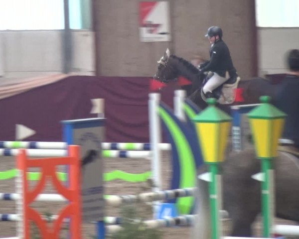 Reitturnier Eppelheim 2019