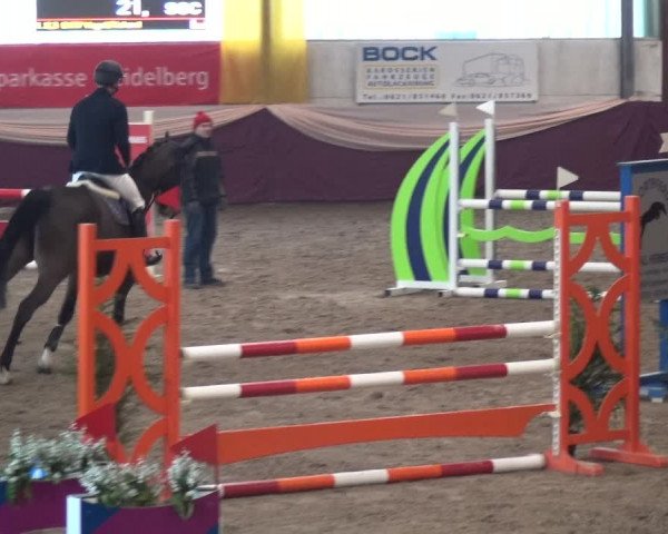 Reitturnier Eppelheim 2019