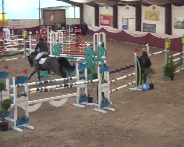 Reitturnier Eppelheim 2019