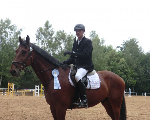Springpferd Casper 215 (Zweibrücker, 2003, von Corleone)