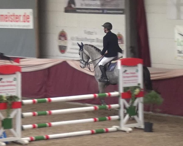 Reitturnier Eppelheim 2019