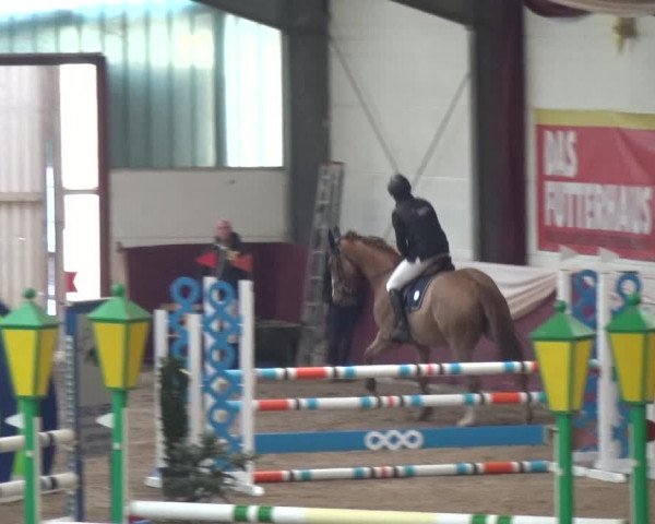 Reitturnier Eppelheim 2019
