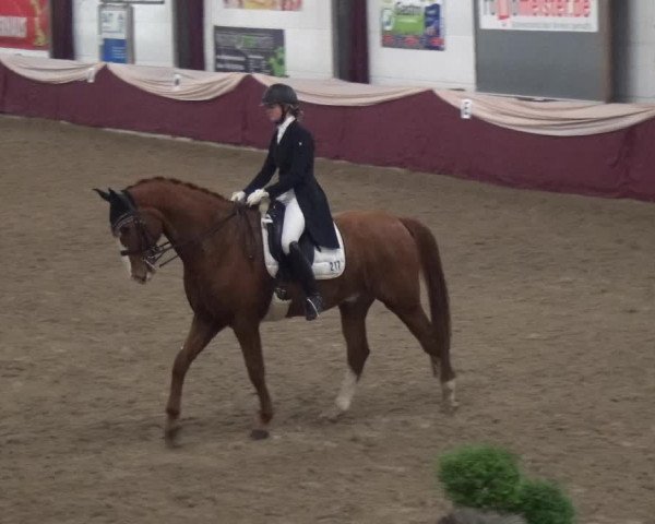 Reitturnier Eppelheim 2019