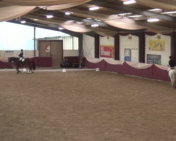 Reitturnier Eppelheim 2019