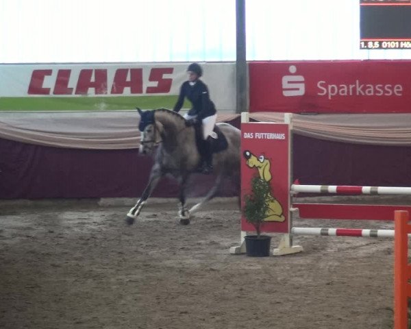 Reitturnier Eppelheim 2019