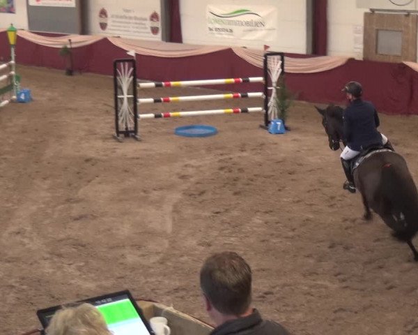 Reitturnier Eppelheim 2019