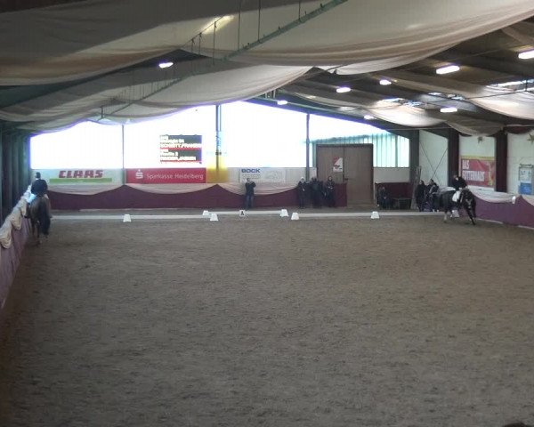Reitturnier Eppelheim 2019