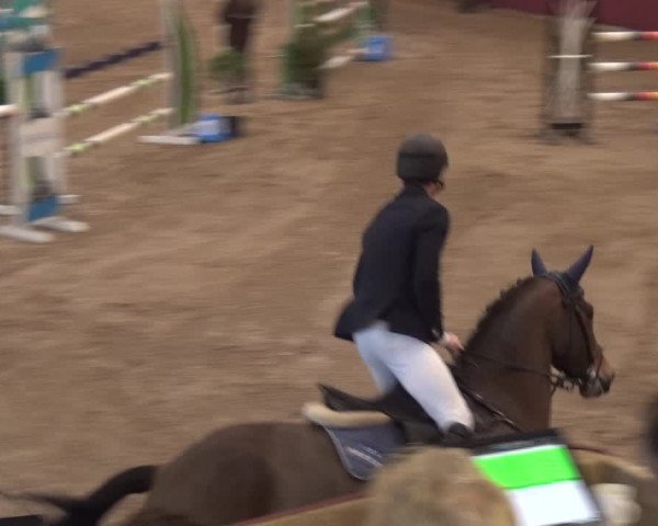 Reitturnier Eppelheim 2019