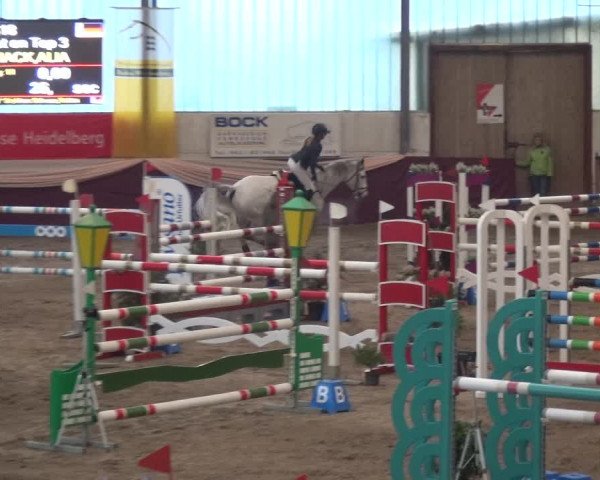 Reitturnier Eppelheim 2019