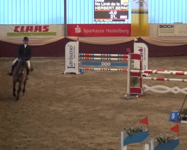Reitturnier Eppelheim 2019