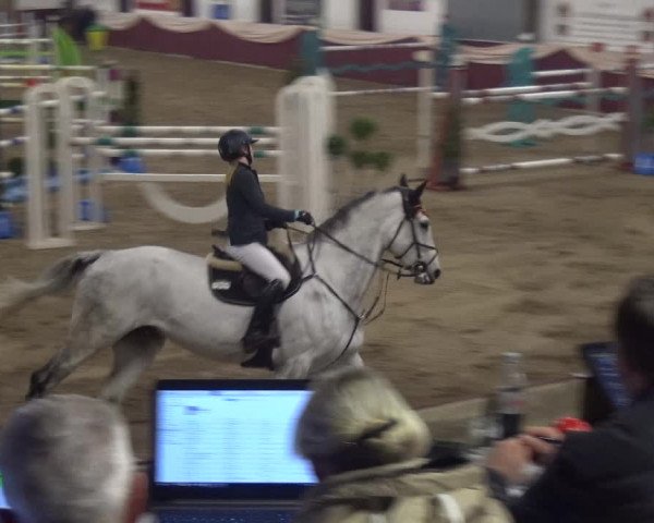Reitturnier Eppelheim 2019