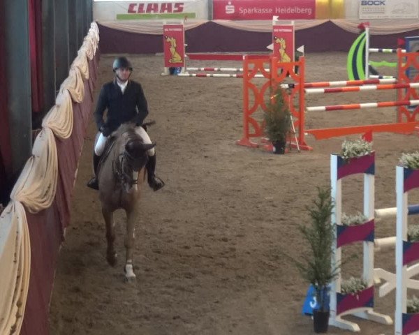 Reitturnier Eppelheim 2019