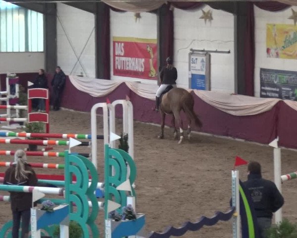 Reitturnier Eppelheim 2019