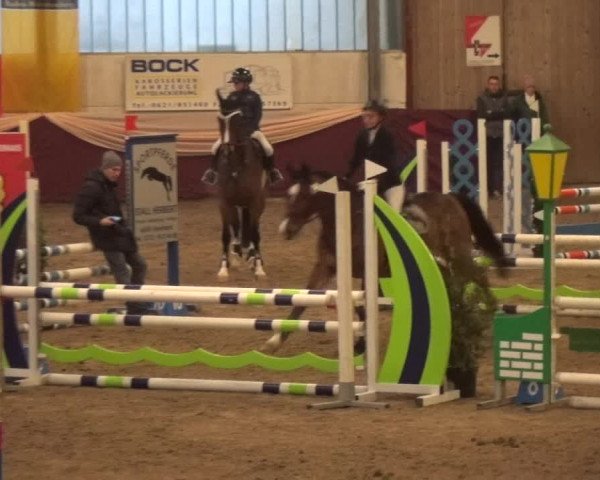 Reitturnier Eppelheim 2019