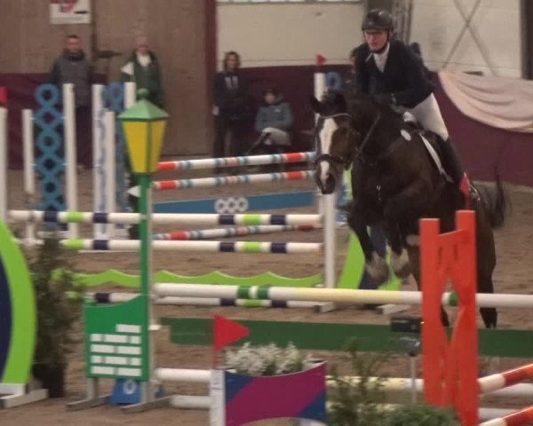 Reitturnier Eppelheim 2019