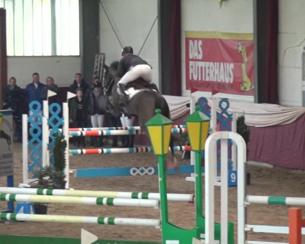 Reitturnier Eppelheim 2019