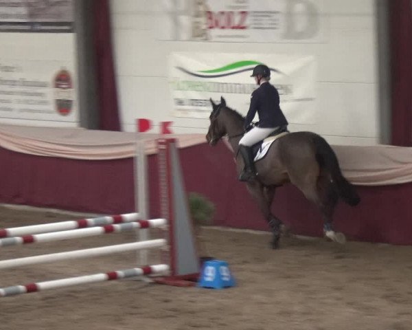 Reitturnier Eppelheim 2019