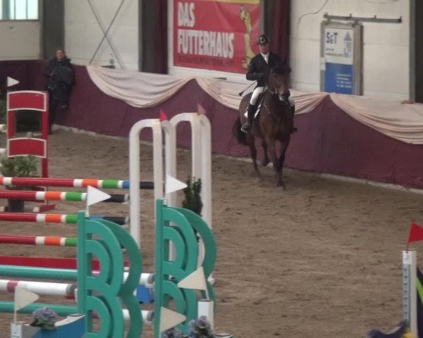 Reitturnier Eppelheim 2019