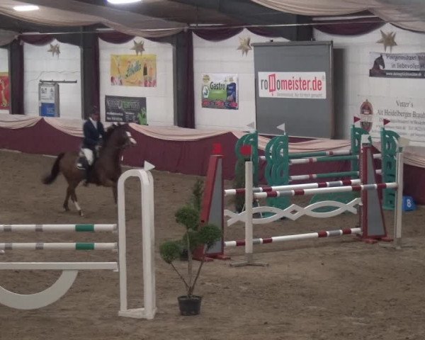 Reitturnier Eppelheim 2019