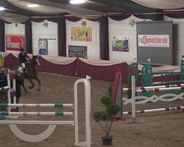 Reitturnier Eppelheim 2019