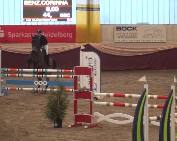 Reitturnier Eppelheim 2019