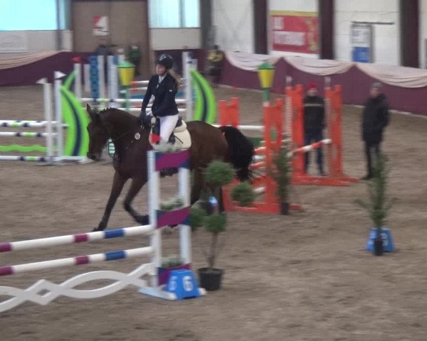 Reitturnier Eppelheim 2019