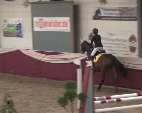 Reitturnier Eppelheim 2019