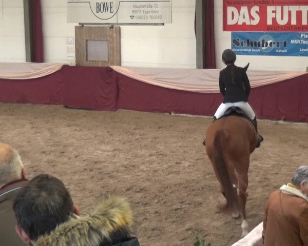 Reitturnier Eppelheim 2019