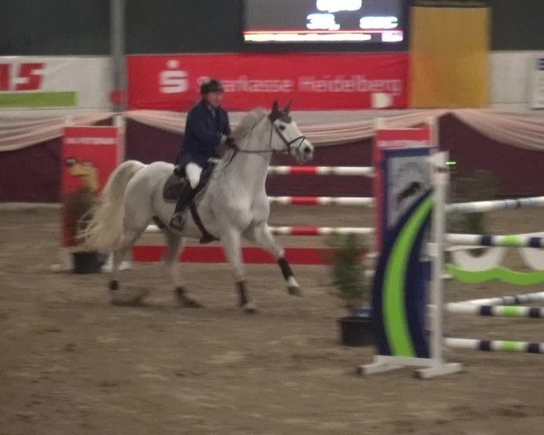 Reitturnier Eppelheim 2019