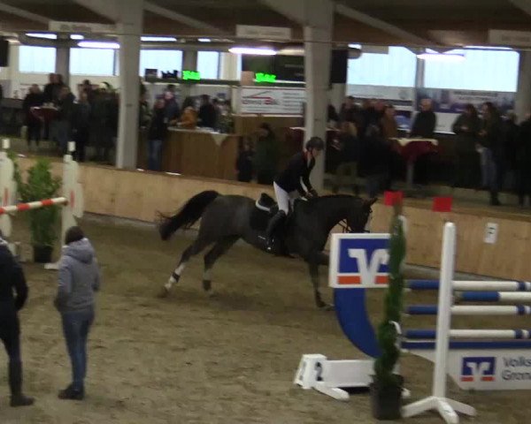 Reitturnier Vreden 2019
