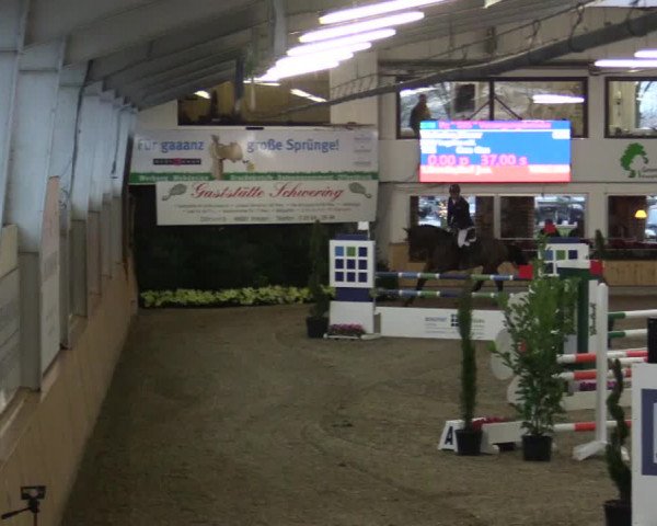 Reitturnier Vreden 2019