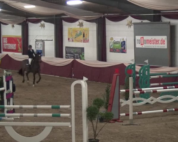 Reitturnier Eppelheim 2019