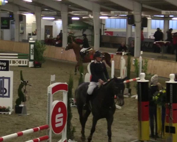 Reitturnier Vreden 2019