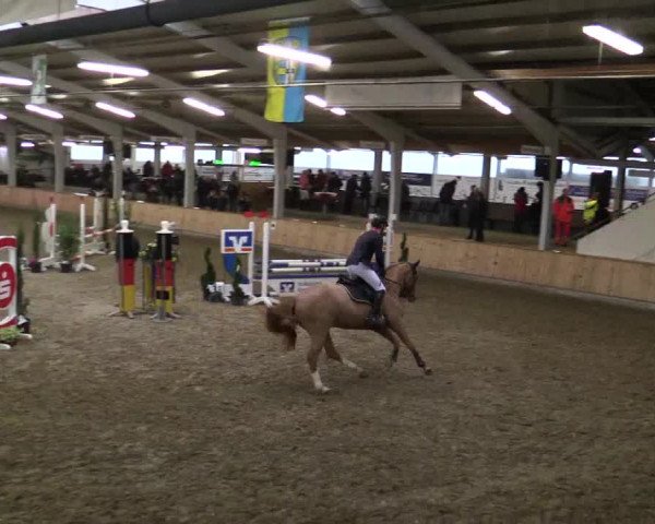 Reitturnier Vreden 2019
