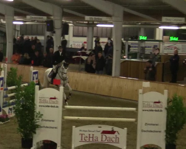 Reitturnier Vreden 2019