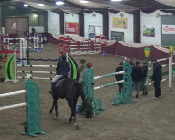 Reitturnier Eppelheim 2019