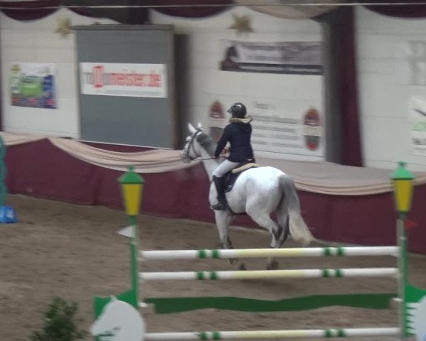 Reitturnier Eppelheim 2019