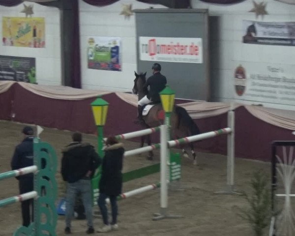 Reitturnier Eppelheim 2019