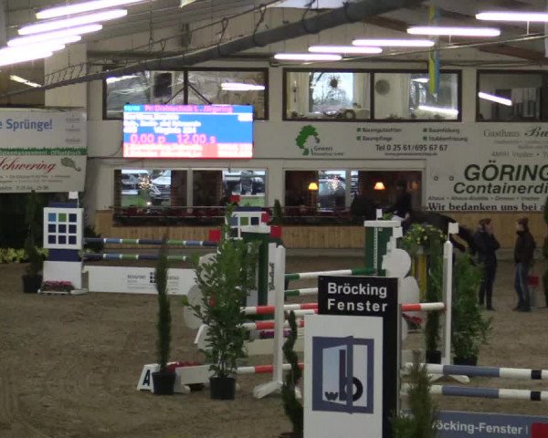 Reitturnier Vreden 2019