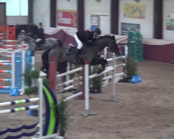 Reitturnier Eppelheim 2019