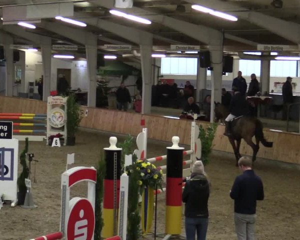 Reitturnier Vreden 2019