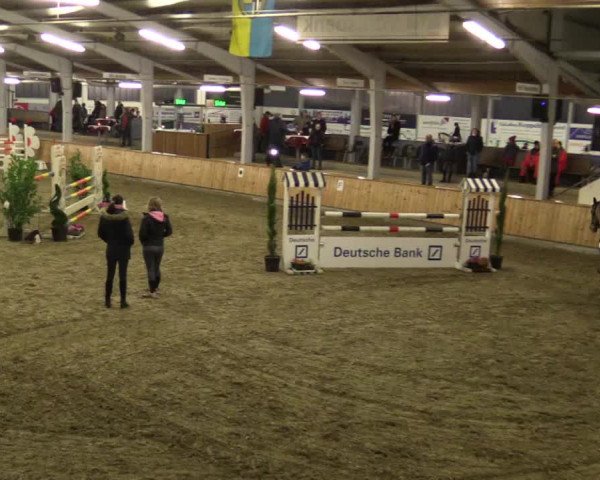 Reitturnier Vreden 2019