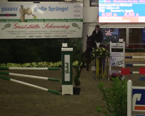 Reitturnier Vreden 2019