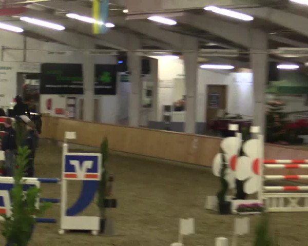 Reitturnier Vreden 2019