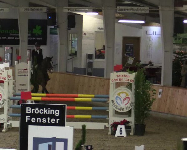 Reitturnier Vreden 2019