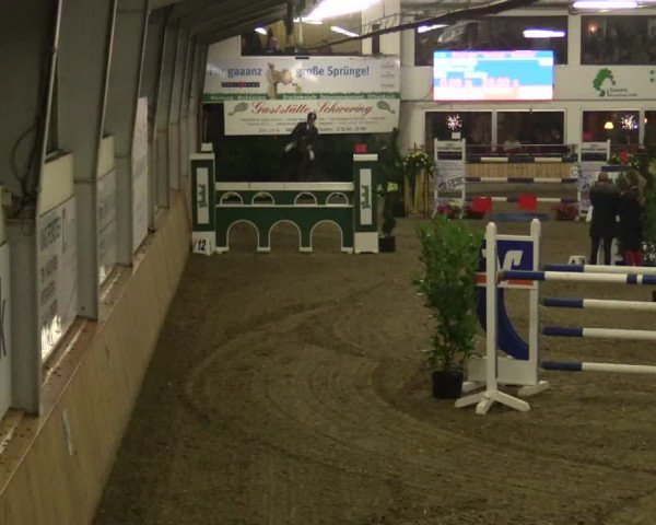 Reitturnier Vreden 2019