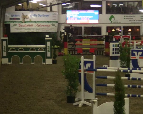 Reitturnier Vreden 2019